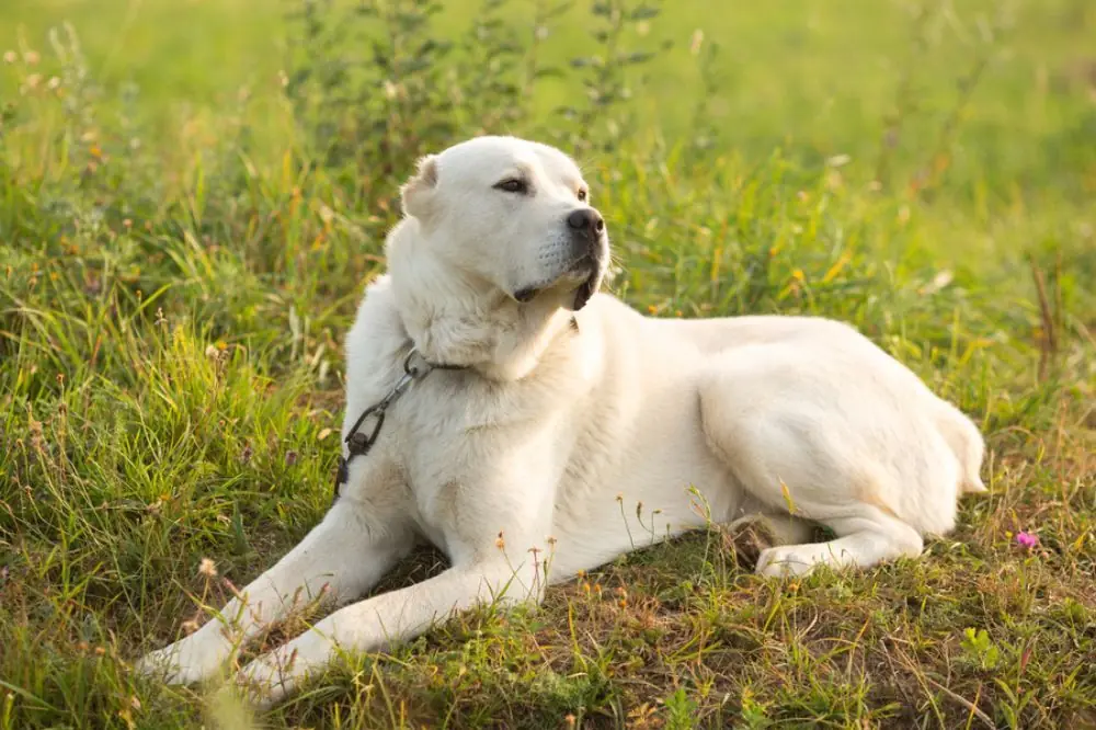 Salud y cuidados medicos
