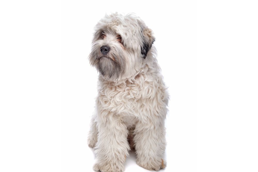 Salud y cuidados medicos