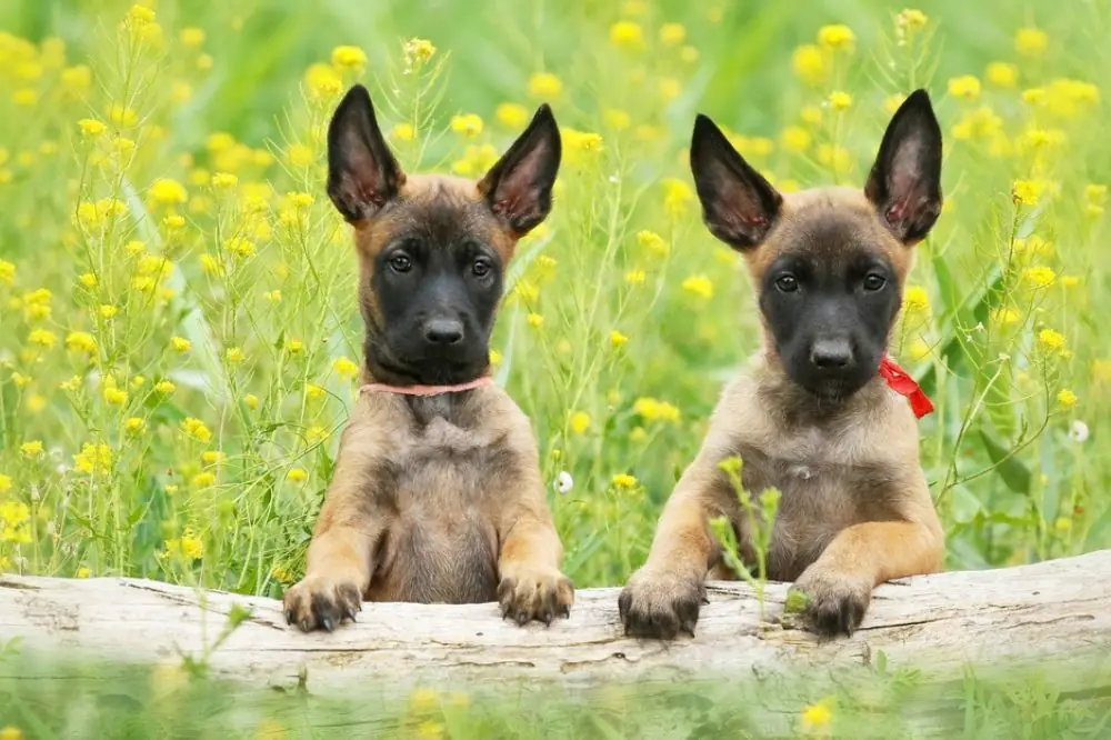 Salud y cuidados medicos