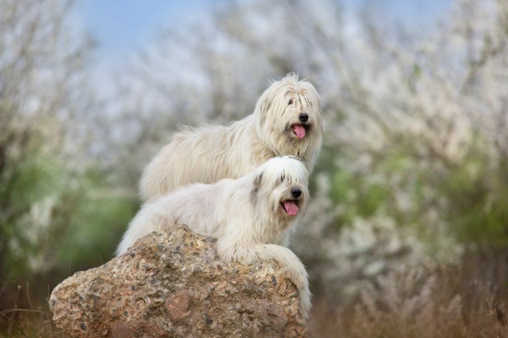 Salud y cuidados medicos