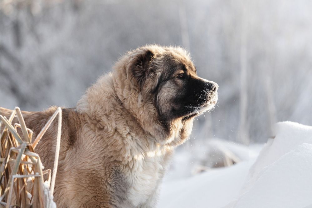 Salud y cuidados medicos