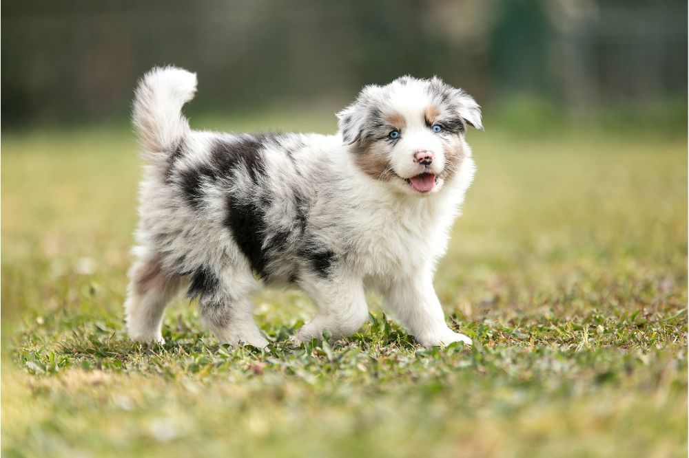 Salud y cuidados medicos