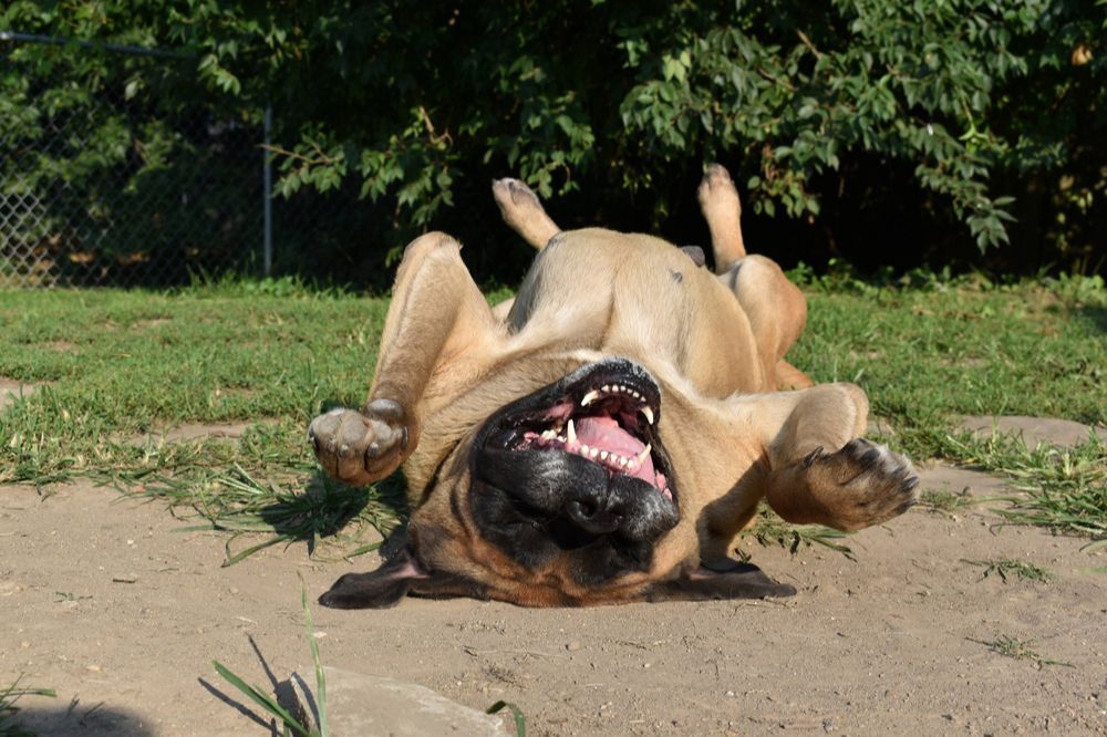 Salud y cuidados medicos
