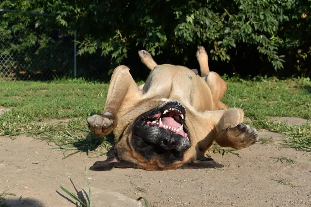 Salud y cuidados medicos