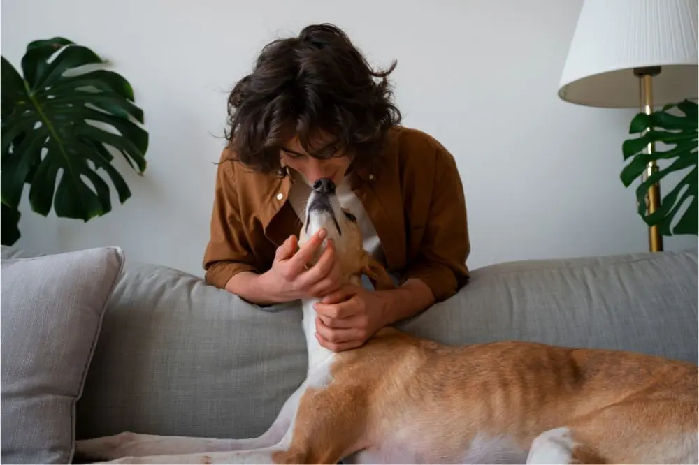 Scopriamo insieme a cosa serve il Pedigree: la nostra guida per migliorare la vita dei cani