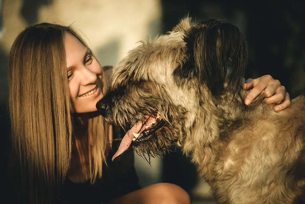 Brie Shepherd quale e carattere proprio