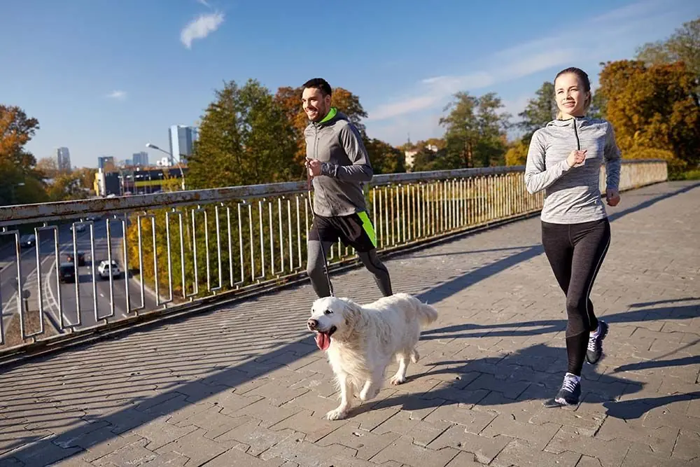 Cane ca compagnia Incoraggia attivita fisica esercizio