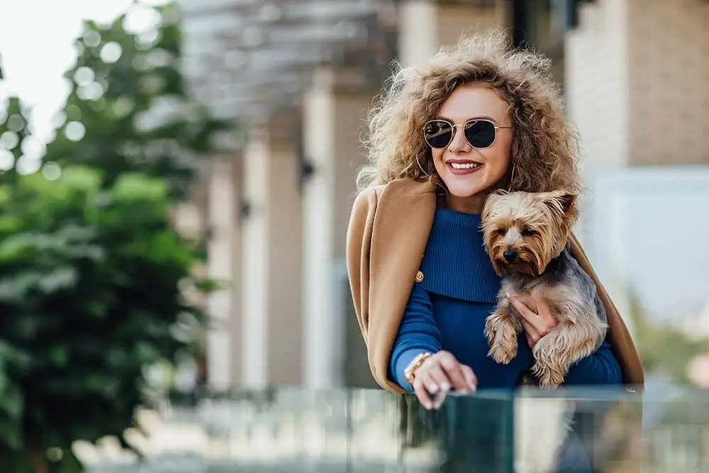 Cani da compagnia: come scegliere il migliore per te