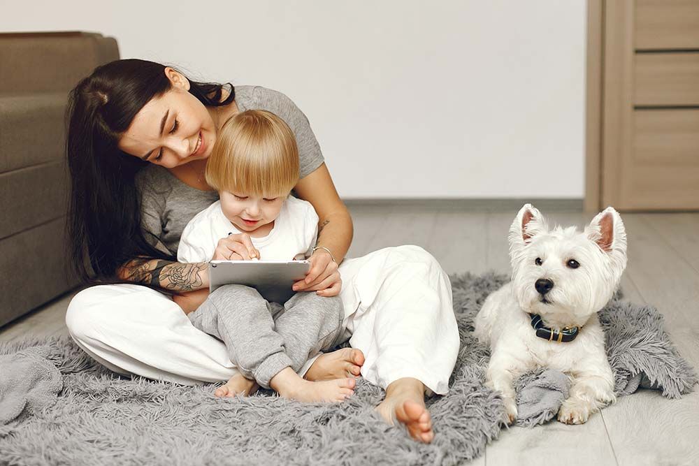 Caracter del West highland terrier