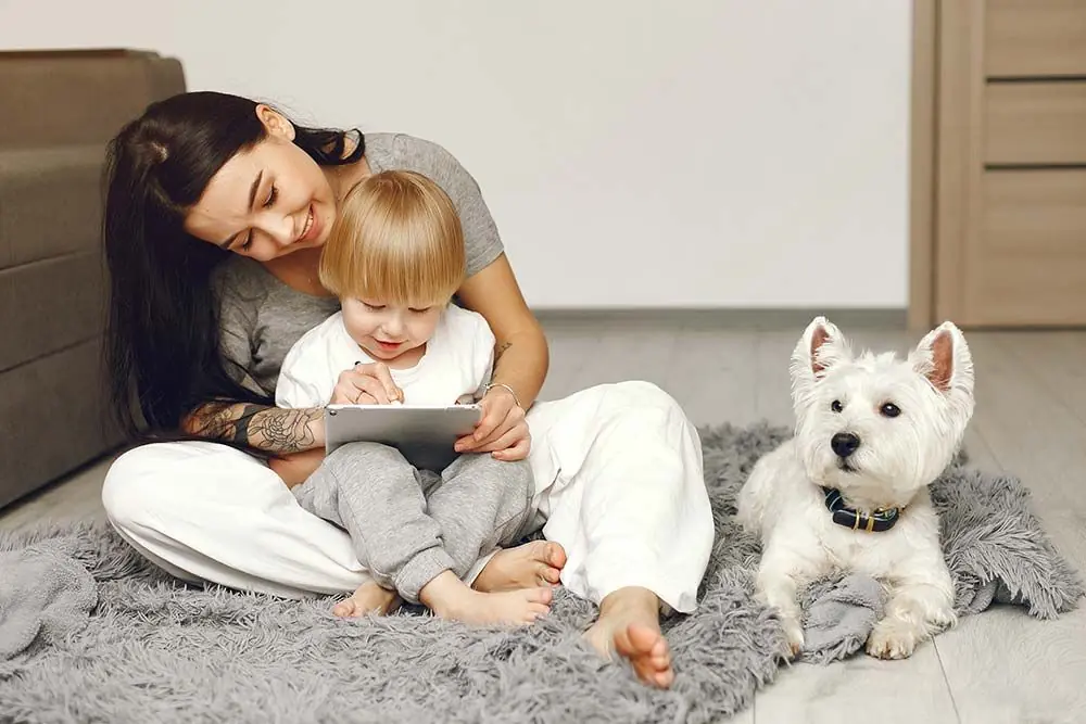 Caracter del West highland terrier