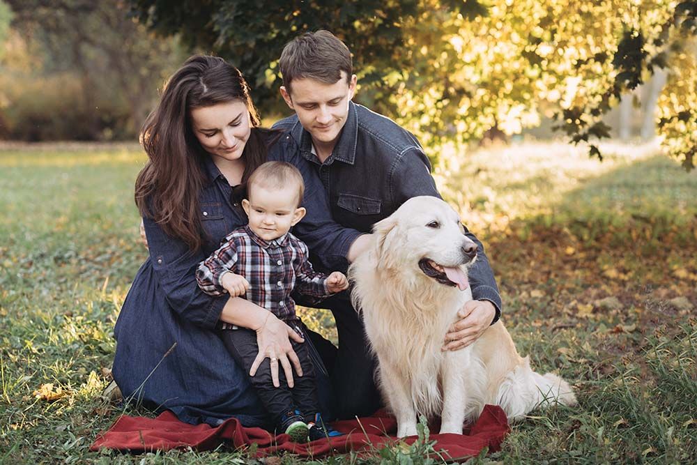 Che tipo di personalita e temperamento