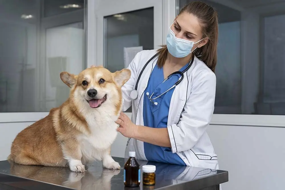 Come risolvere il problema scuote la testa