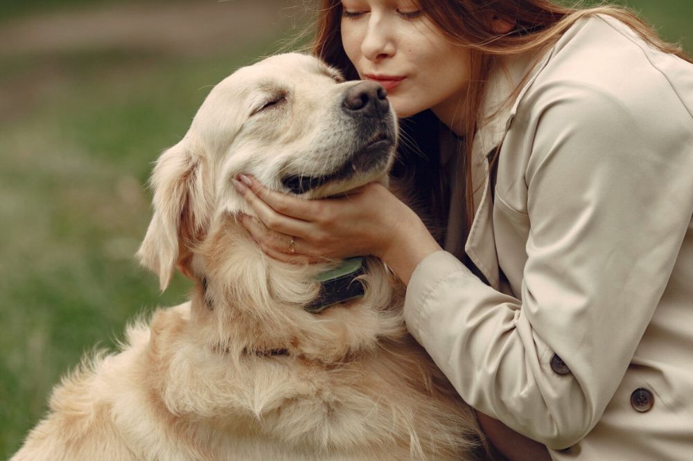 Compañía y afecto incondicional