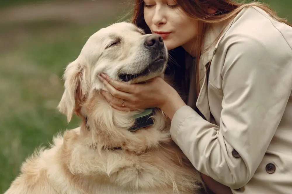 Compañía y afecto incondicional