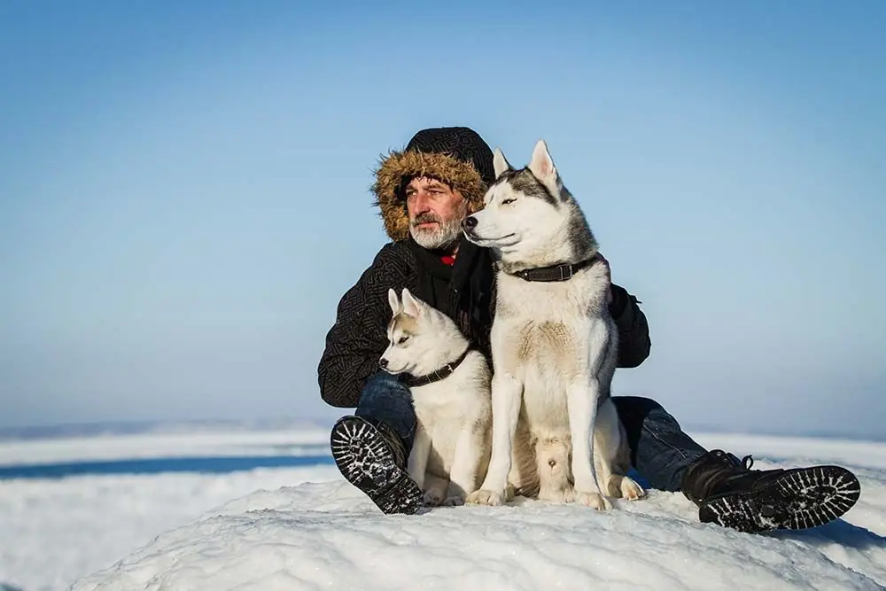 Comportamento e addomesticamento