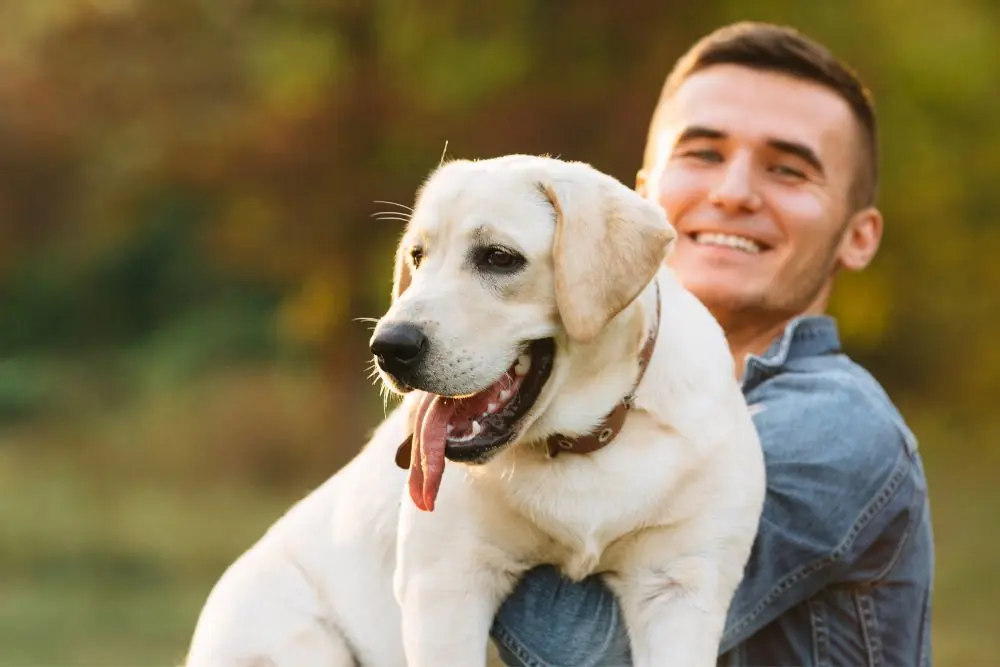 Conoce a las razas de perros más sociables