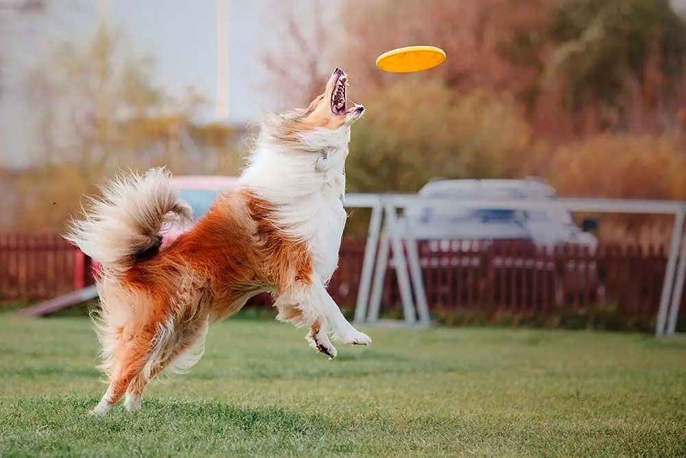 Cuales son los trucos avanzados