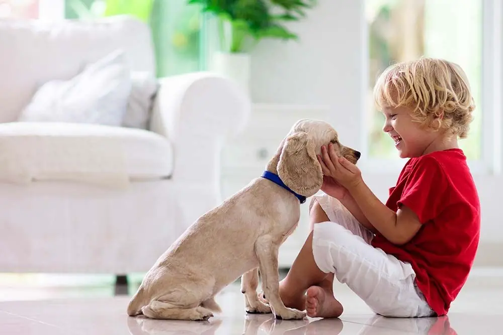 Frases de perros: más de 100 Ideas para inspirarte y compartir