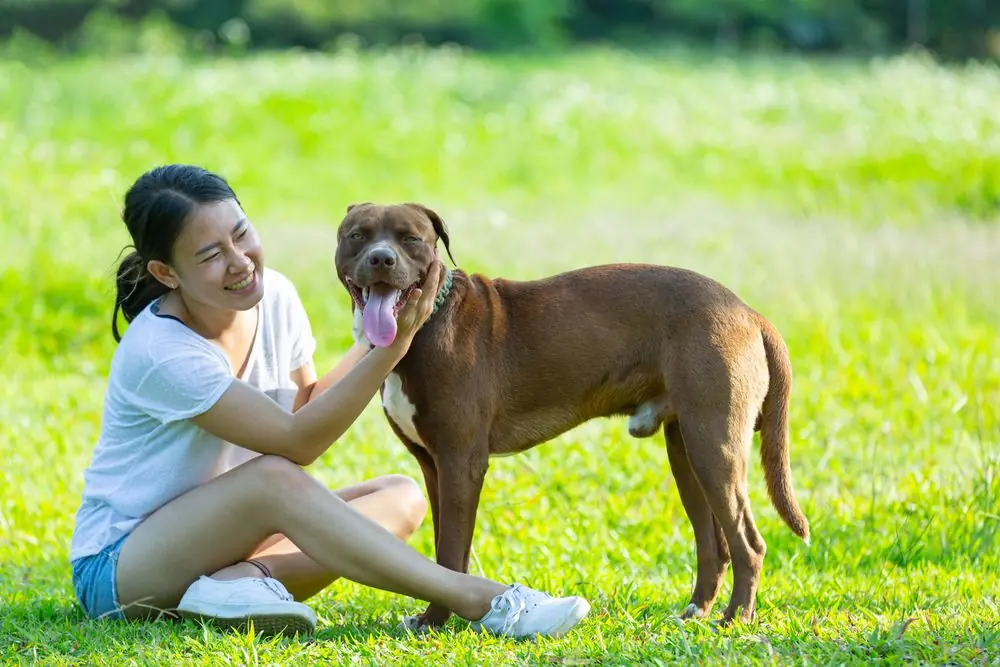 Dueña sonriente compartiendo un momento con su mascota al aire libre