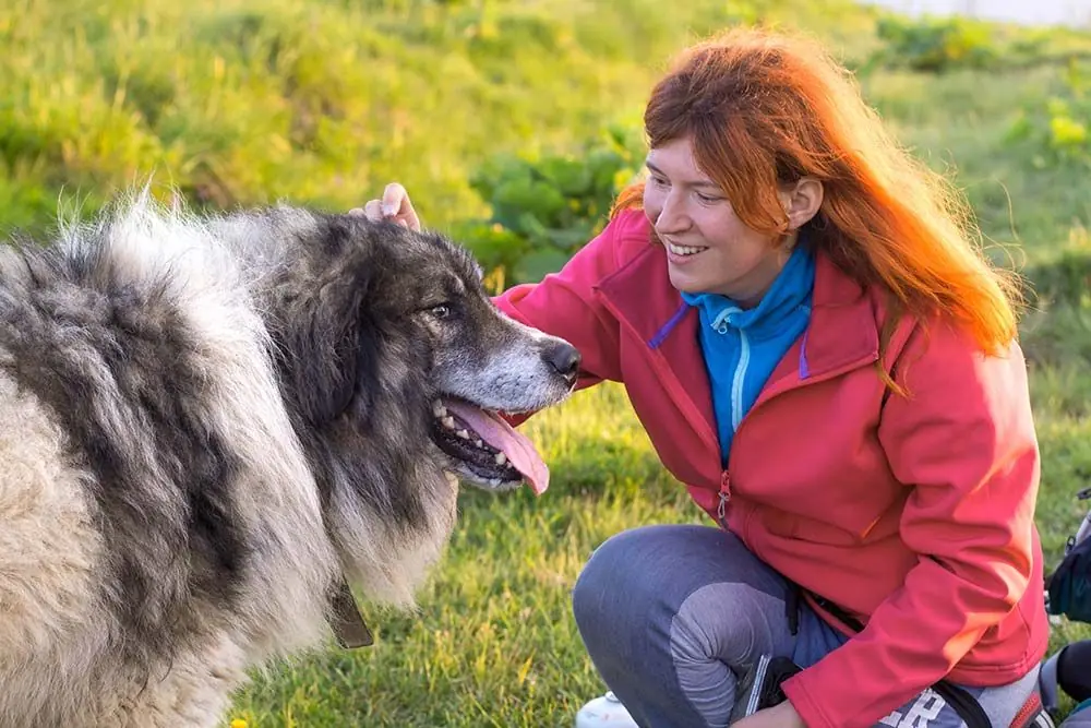 Pastor carpatos caracter