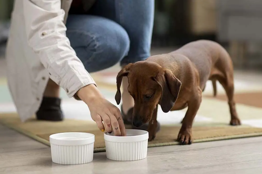 Pensez changer sa alimentation