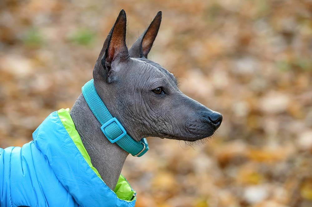 Protezione solare e contro freddo