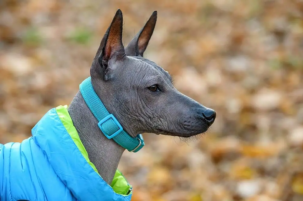 Protezione solare e contro freddo