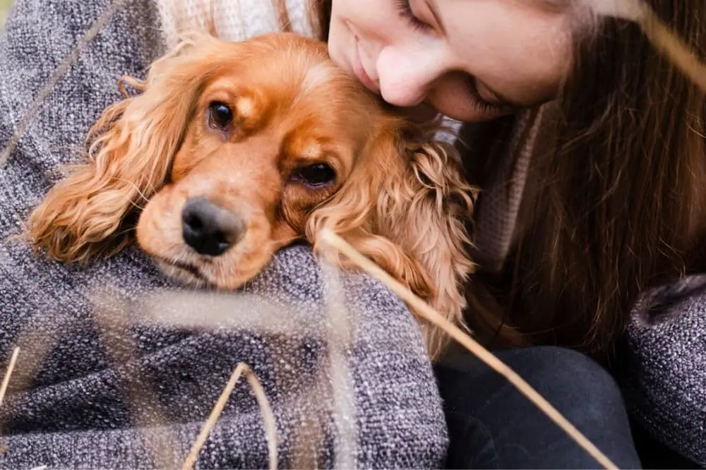 Sensación de seguridad mutua