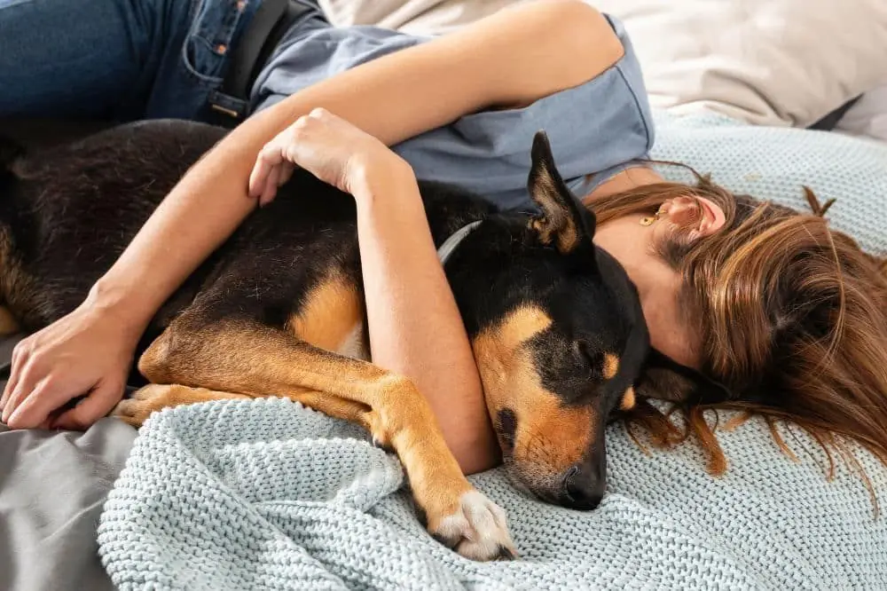 6 motivos por los que tu perro duerme contigo