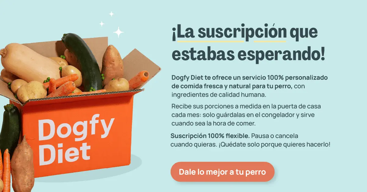dieta natural dogfy diet banner escritorio