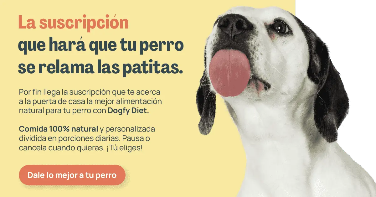 dieta natural dogfy diet banner escritorio
