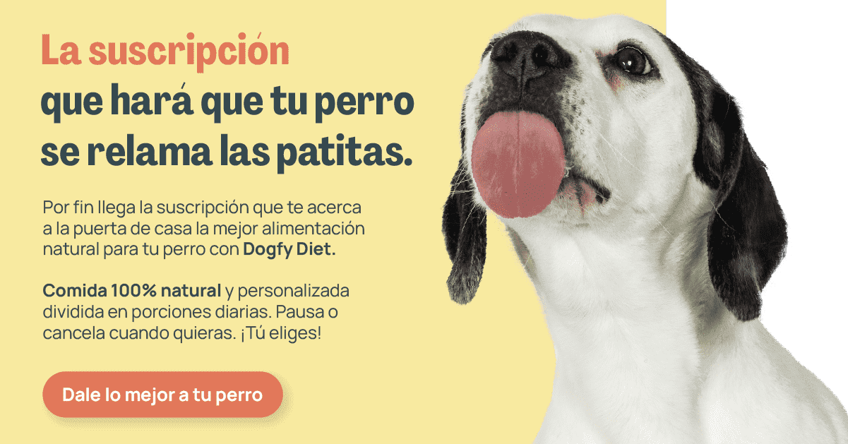 dieta natural dogfy diet banner escritorio