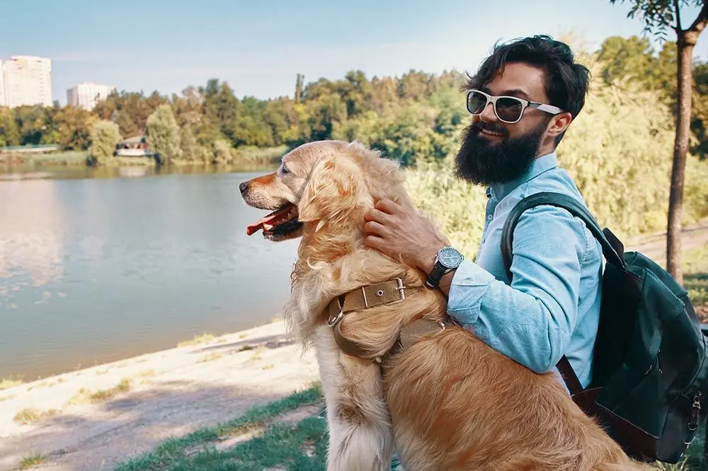 Actividades imperdibles para disfrutar con tu perro durante el viaje