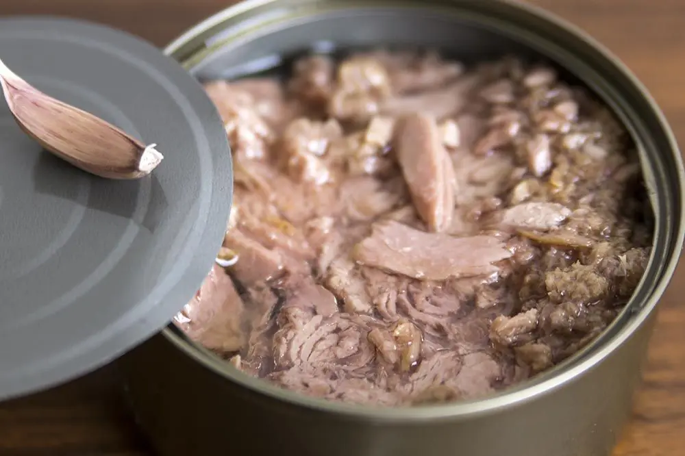 Alternative sane al tonno per i cani