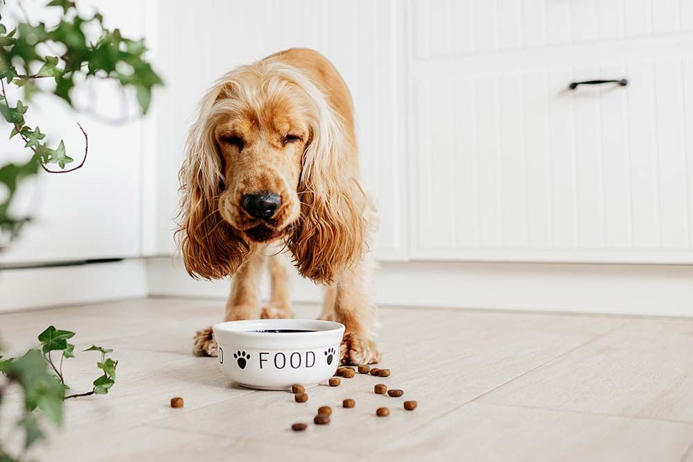 Assunzione troppo veloce