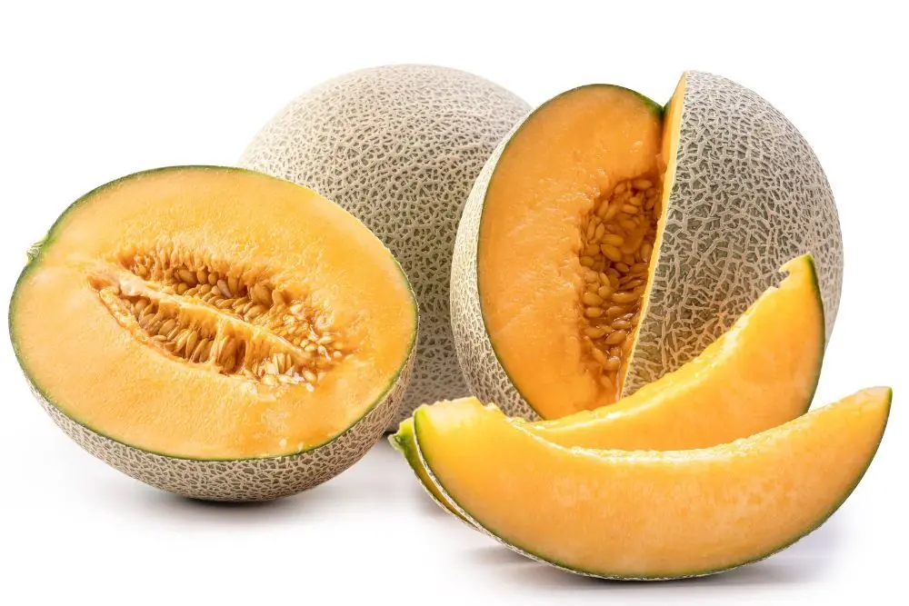 Benefici del melone per i cani