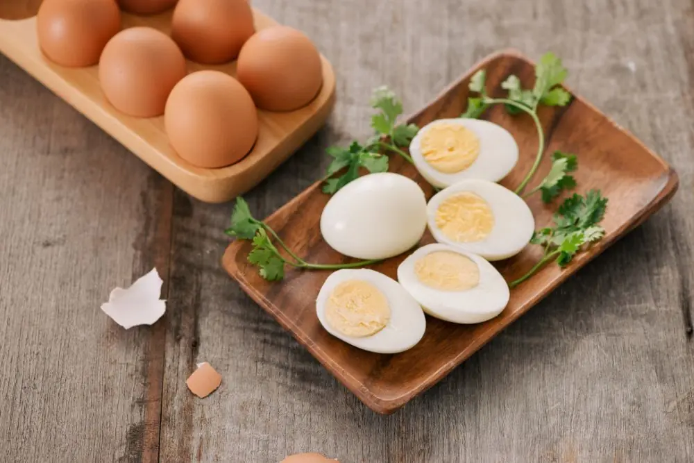Benefici nutrizionali delle uova sode per cani