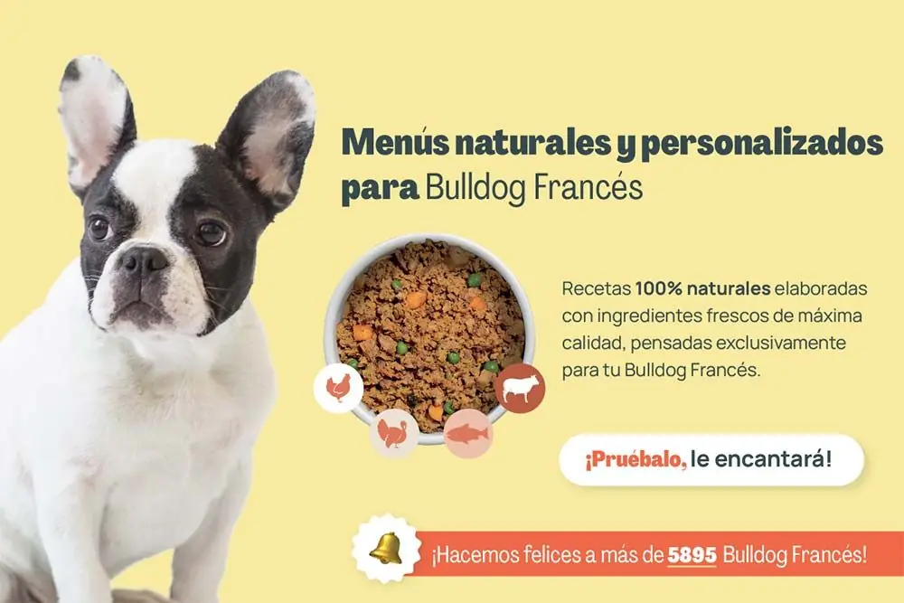 Bulldog frances menus naturales personalizados