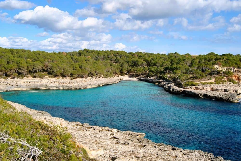 Calo en Perdiu Santanyi