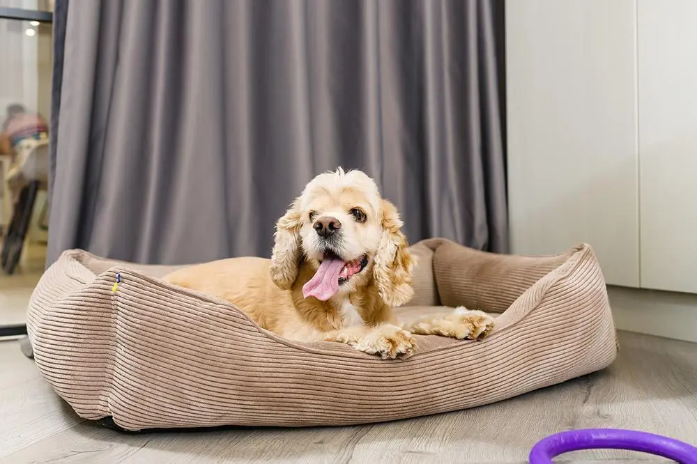 Camas y accesorios para descansar en el camino