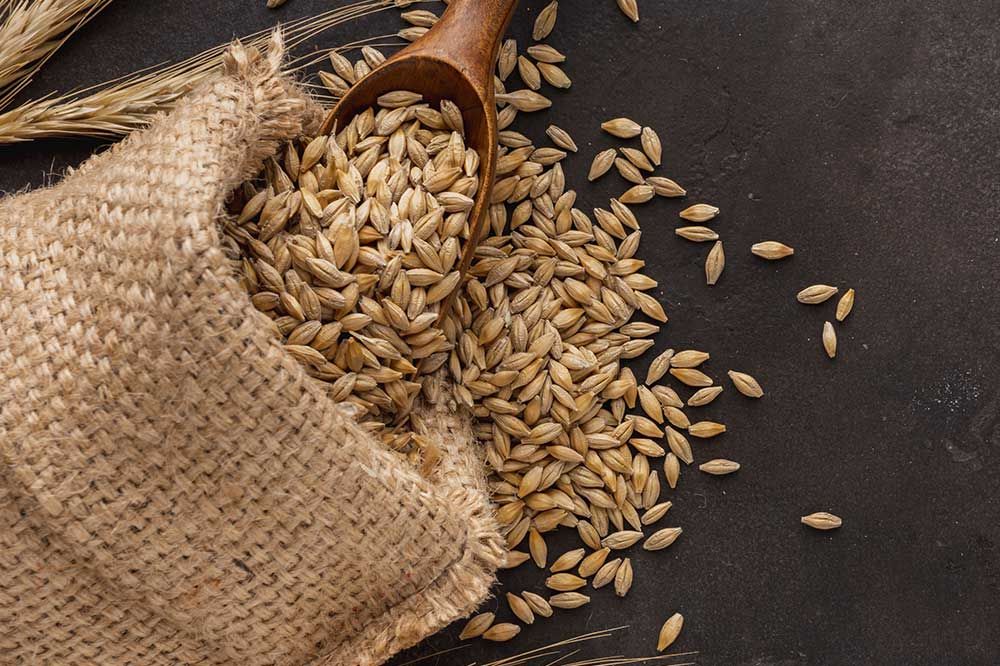 Cereali e allergie nei cani