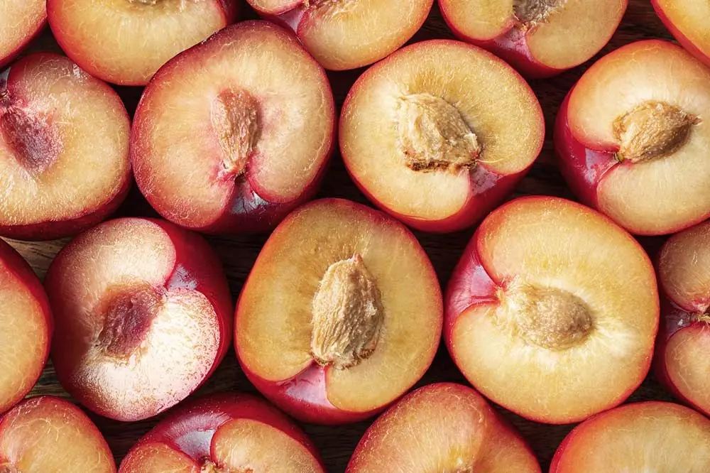 Come integrare le pesche nella dieta del tuo animale domestico