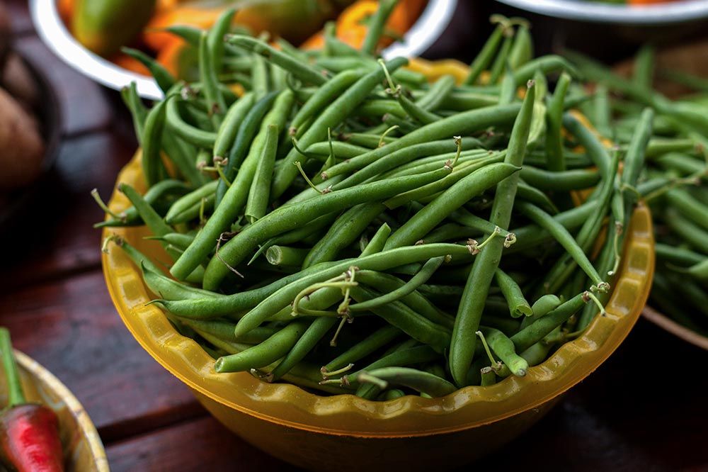 Come preparare i fagiolini per i cani