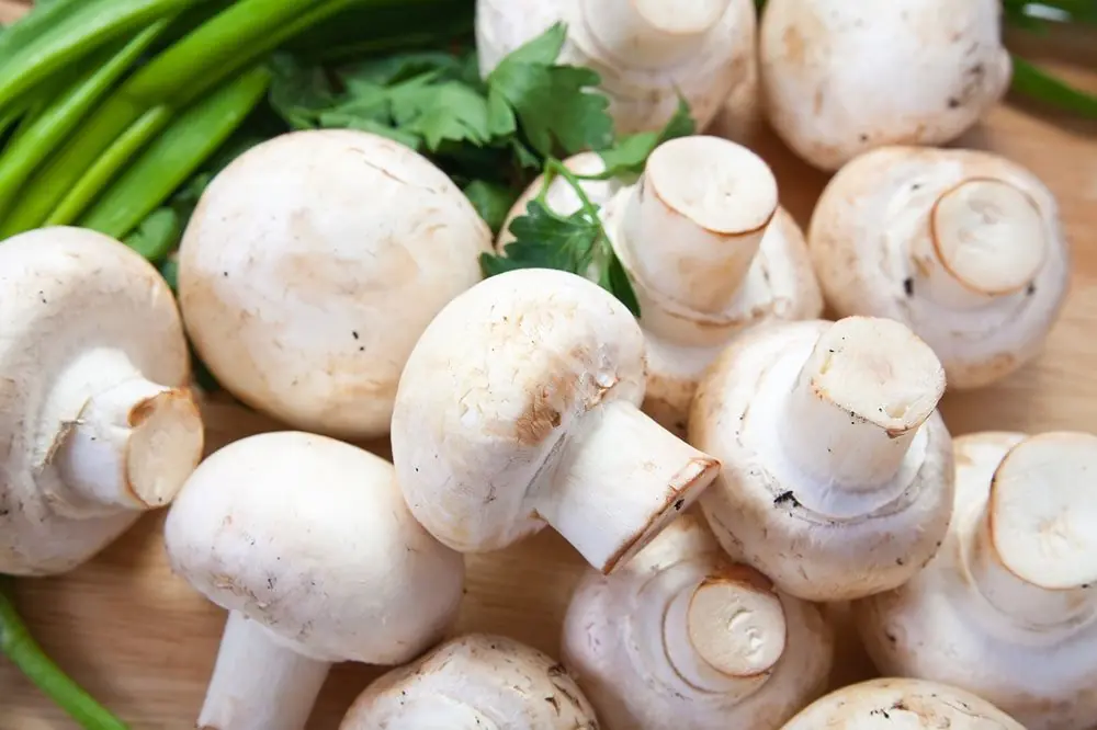 Conoscere i rischi non tutti i funghi sono sicuri