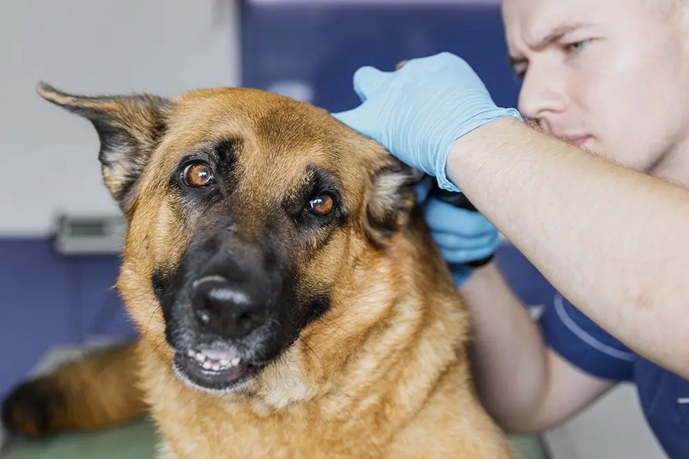 Conseils pour prevenir otite par alimentation