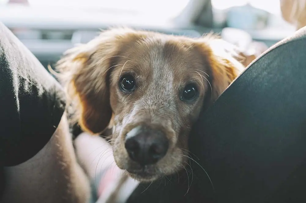 Consejos adicionales para un viaje exitoso