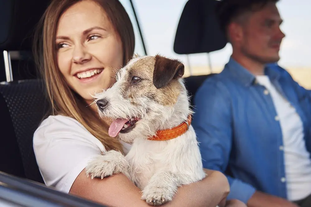 Consejos para viajar con mascotas