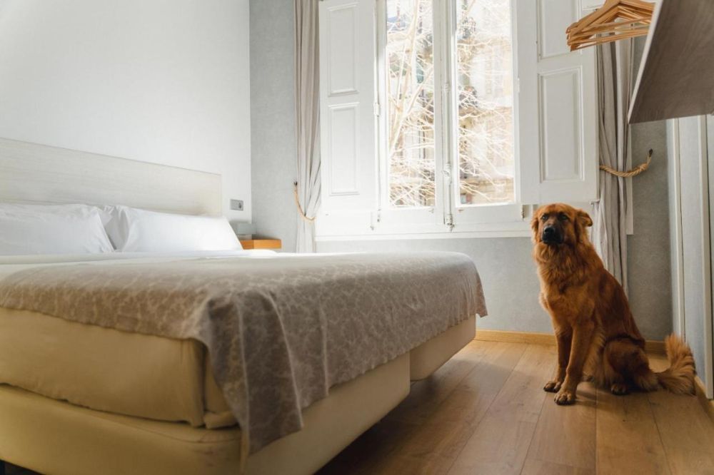 Cosmopolitan Boutique Rambla