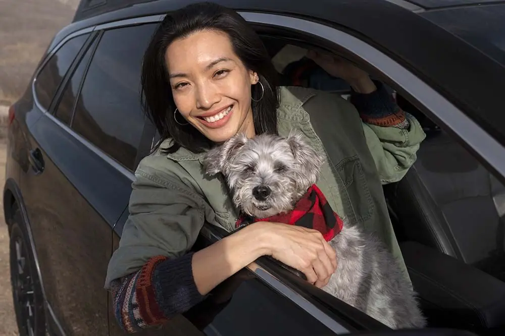 Descubre la alimentación y cuidados esenciales para para un viaje inolvidable con tu perro