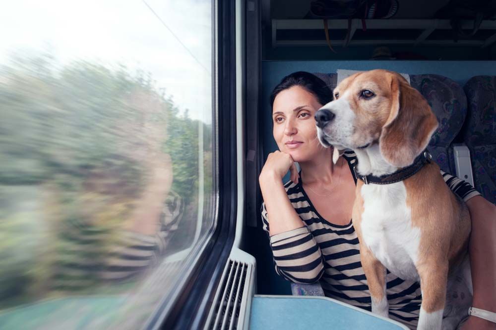 Descubre viajar tren con tu perro media distancia